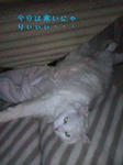 D1000160.jpg
