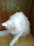 D1000186.jpg