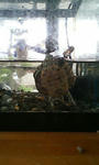 20100619161103.jpg