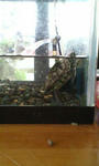 20100619155831.jpg