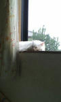 20100621091632.jpg