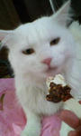 20100803143751.jpg
