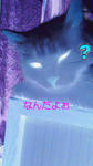 201008281527000.jpg
