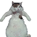 mike.png
