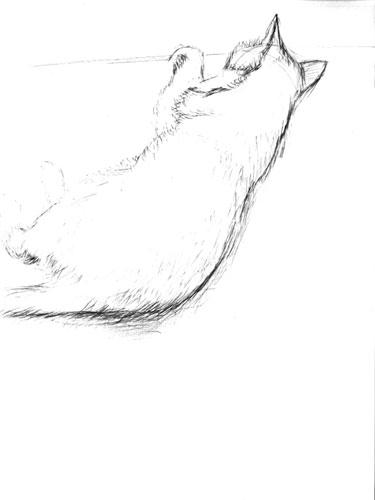 猫のスケッチその2_060903