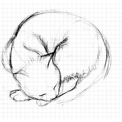 猫のスケッチ_061008_001.jpg