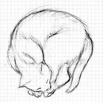 猫のスケッチ_061008_002.jpg