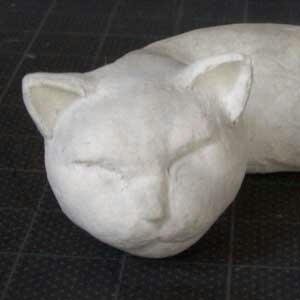 猫_顔正面_070304
