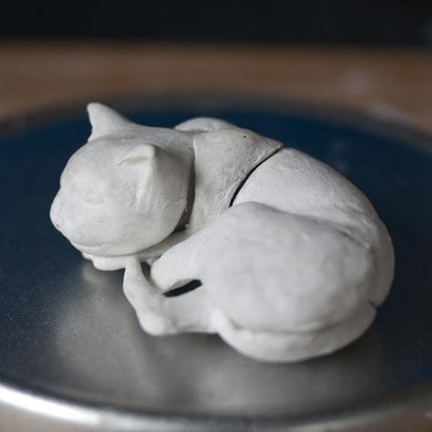 猫_首筋回収後_070407