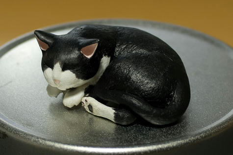 猫_完成間近_070618