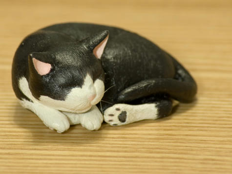 猫_右側面_070626