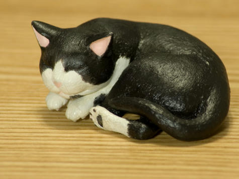猫_左側面_070626