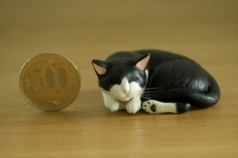 猫_500円玉とのサイズ比較_070701