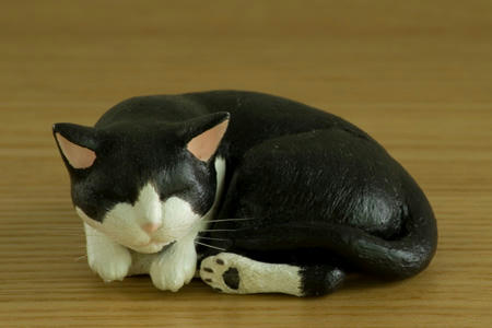 猫_正面_070701