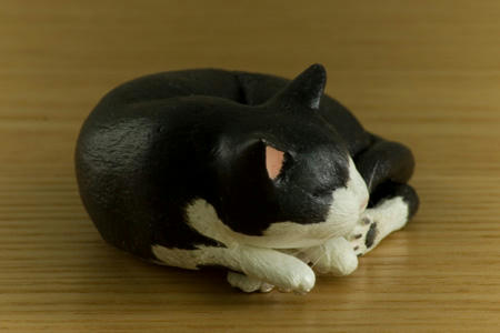 猫_右前面1_070701