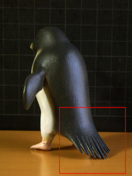 アデリーペンギン_リニューアル前の尾羽その１