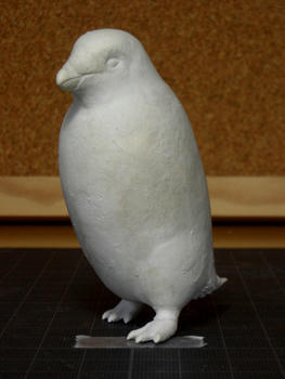 アデリーペンギン_全体図_070930