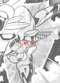 shield.jpg