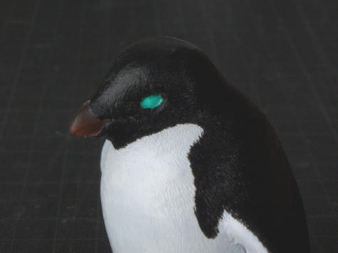 アデリーペンギン_頭部_080120