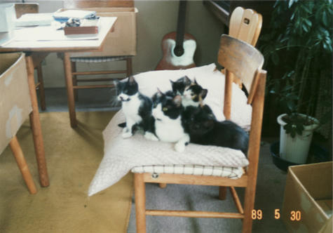 080301_001.jpg