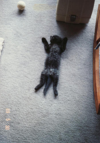 080301_007.jpg
