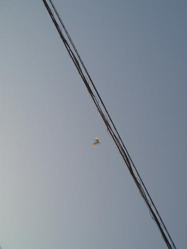 090326_001.jpg