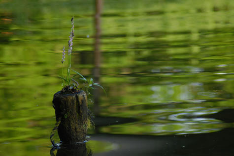 090807_017.jpg