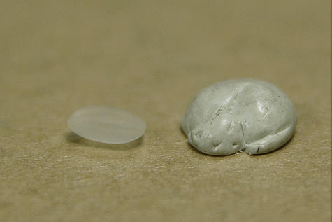 size.jpg