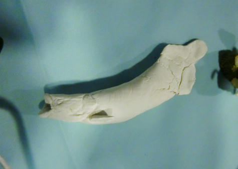 WFCafe_raghModel_120115.jpg
