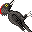kumagera.gif