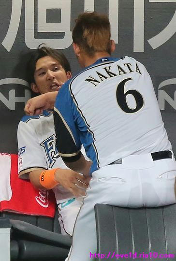 とんねるずのスポーツ王は俺だ 中田選手と杉谷選手の関係に世間が注目 ファイターズ やっぱり猫とファイターズｐａｒｔ２