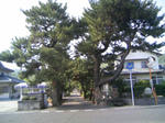 20080430_002.JPG