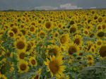20080823-003.JPG