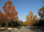 IMG_0061.JPG