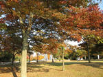 IMG_0069.JPG