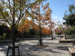 IMG_0163.JPG