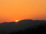 IMG_2742.JPG
