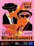 2012.5.12BluesSummit.jpg