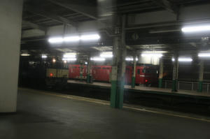 IMG_5283s.jpg