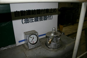 IMG_5398s.jpg
