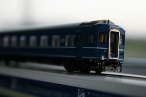 IMG_5493s.jpg