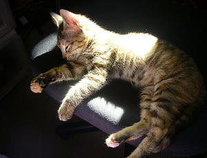 011501.jpg