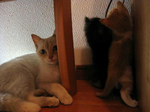 IMG_14741.jpg
