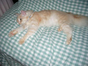 IMGP0801.JPG