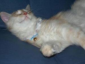 IMGP0793.JPG