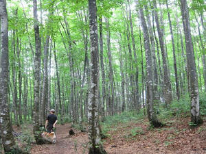 IMG_2669.JPG