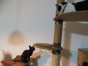 DSCF0076.JPG