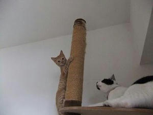 DSCF0112.JPG