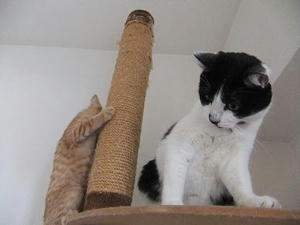 DSCF0108.JPG