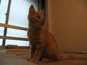 DSCF0122.JPG